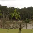 Lago do Parque do Carmo